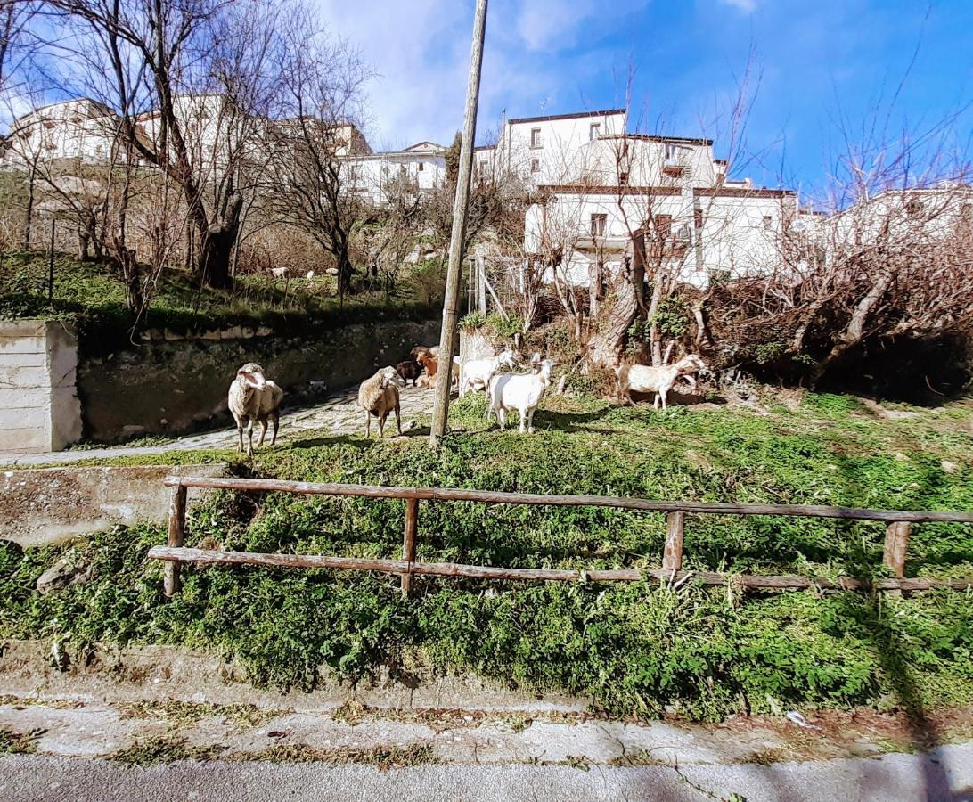 Le Origini Casa In Borgo Tipico Lucano Trivigno Екстериор снимка
